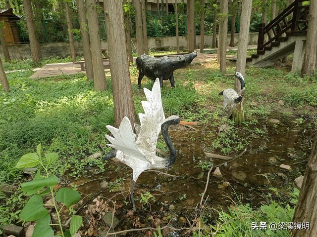 南京江北第一景——金牛湖