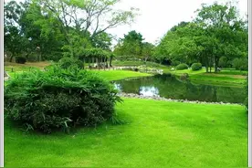 2024高考语文考前指导：小说解题指导图片