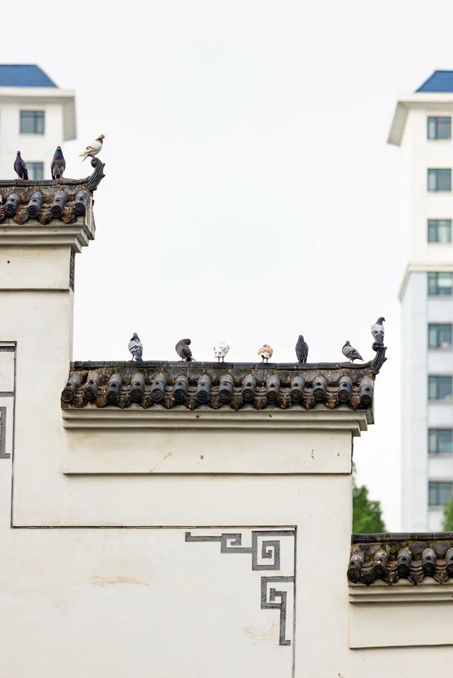 一天9万人涌入！武汉这里为何爆火？