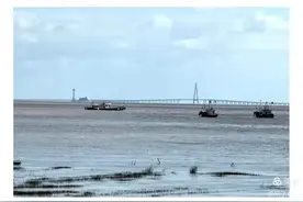 说说平湖钟埭、新仓、乍浦古镇和山塘古村落的人文地理故事图片