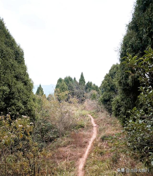 成都龙泉山爆红徒步路线，享受超级梭梭板，大人小孩都喜欢！