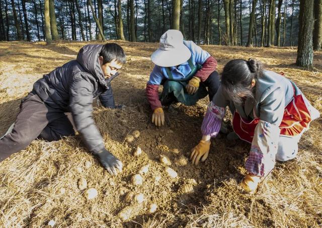 全国多地免费？！广东人、番禺人的福利来了