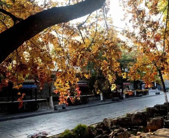 青州这些景致，藏着最动人的温柔