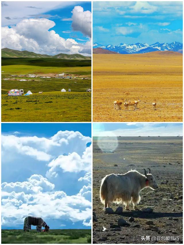 西藏阿里探秘之旅：穿越时空的圣境行走