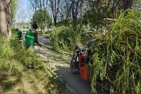 石家庄市城市水系园林中心迅速响应 周密部署 全力应对大风天气图片