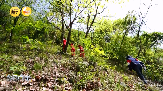 记者调查：秦岭探险意外事故为何频频上演？