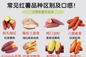 常见红薯品种区别及口感，你比较喜欢吃哪一种？图片