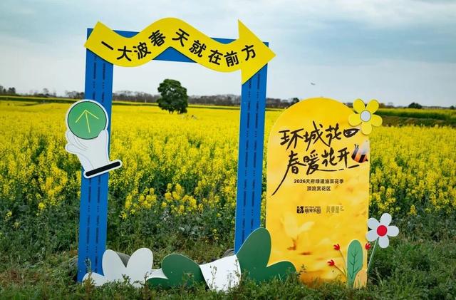 成都2026油菜花新晋顶流打卡地开花了！本周末直接冲错过等一年！