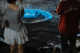 大梅沙「蓝眼泪」爆发，地铁直达的梦幻，今晚还有！图片