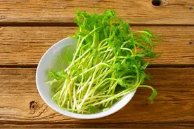 3种让你很会拉屎的芽菜，堪称“肠道拖把”！还是“肝脏守护神”，春天必吃图片