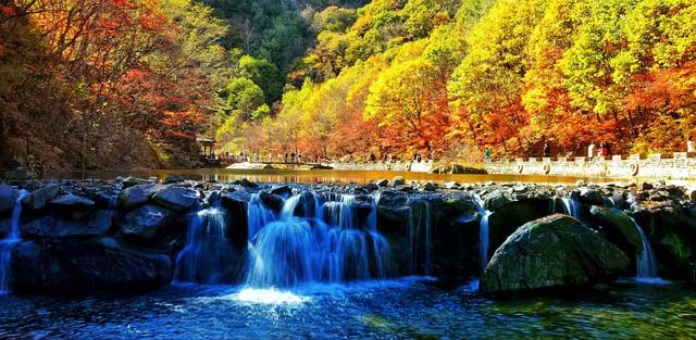 云南秋景疯玩指南！红叶、银杏，3条民族风路线承包你的绝美秋景