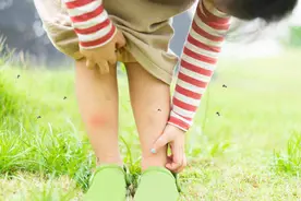 原来蚊子的最大克星不是蚊香？其实驱蚊很简单，整晚开窗都不怕图片