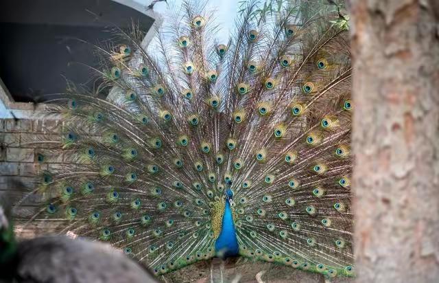 芜湖夜色，温柔入梦