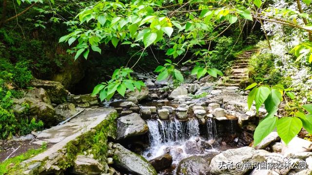 西安周边 | 这个秋天不可错过的宝藏旅行地!