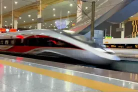 它是何方神圣，竟让南京南站每天为它播报定制广播图片