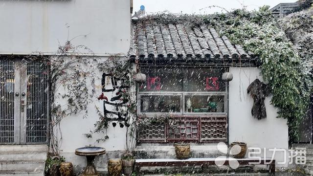 大寒遇初雪，苏州平江路银装引客来