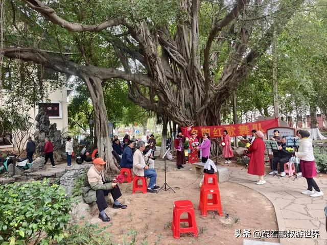 别卷江门了!广东新会这个小众千年古郡藏不住了