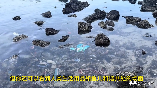除了呼吸处处都要钱，博主曝光涠洲岛乱收费，民宿老板回应引争议