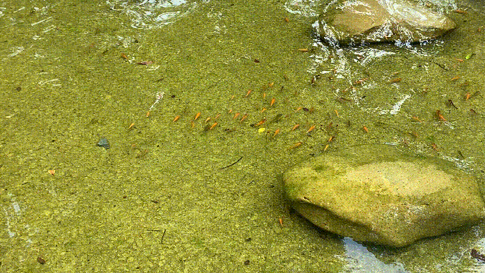番禺水色文化节双节专场，宝墨园邀你共赏非遗奇观