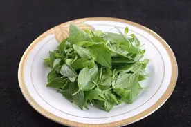 荆芥的吃法你知道几种？图片