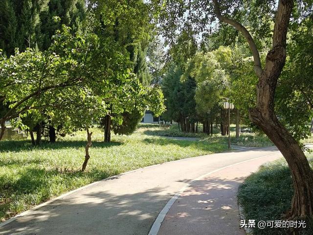 走遍石家庄公园——明珠公园