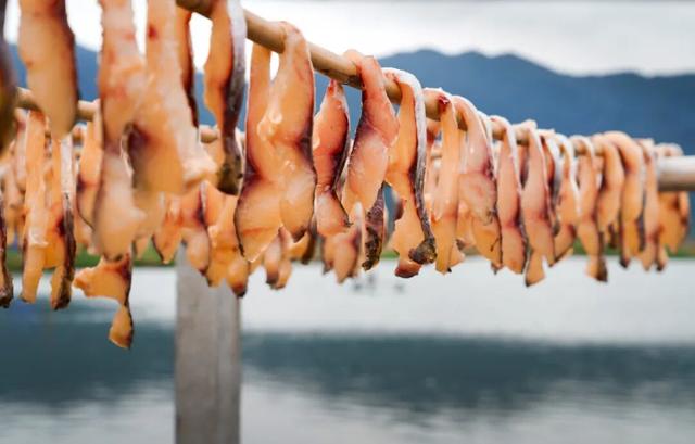 《鼎湖旅游地图》上线！