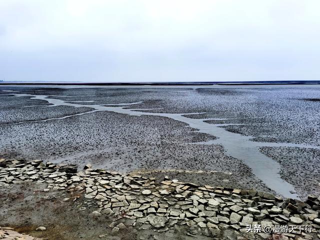 分享一个免费的红海滩，景色一点不差盘锦红海滩，