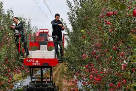 陕西省白水县历史沿革及行政区划图片