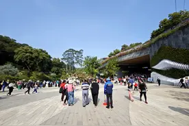 比起华南植物园，我更喜欢广州这个“新地标”图片