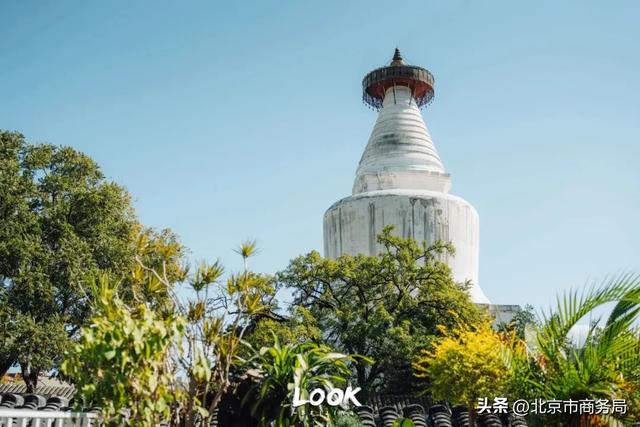 北京最好逛的一条街，强烈建议每个人空着肚子来！