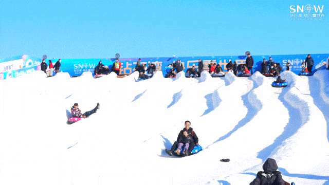 除了海，大连冬日“顶流”竟然是它们？