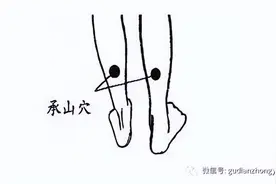 承山穴：身体湿气重 ，一个穴位搞定！图片