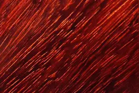 国标红木29种木材图片