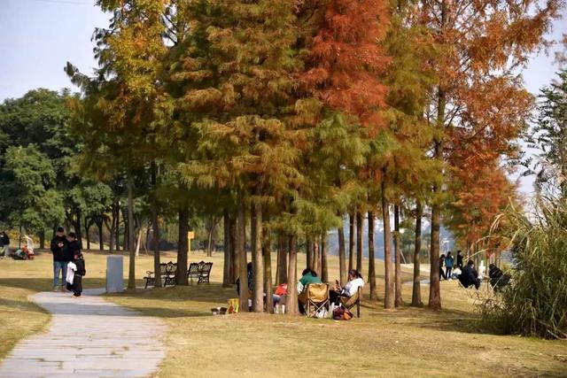 好多人都去了！金堂这个地方最近很火！