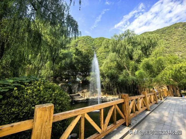 夏季避暑有“凉”方,黑河山水邀你共赴清凉盛宴!