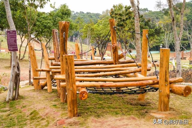 二刷、三刷……遛娃党解锁恩上湿地新玩法！