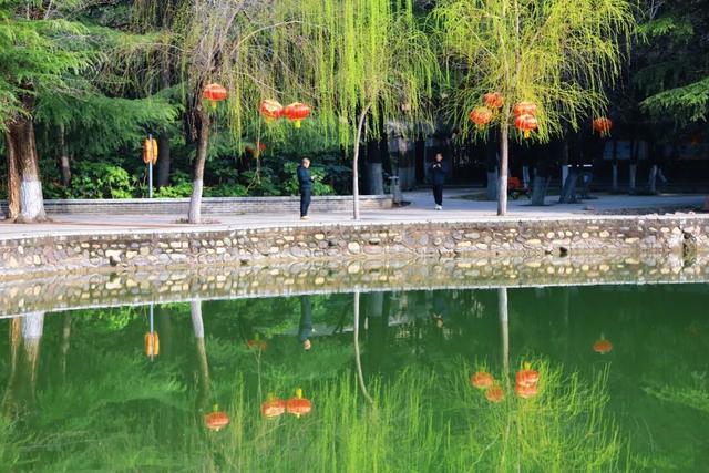 三月的人民公园一湖垂柳醉春风