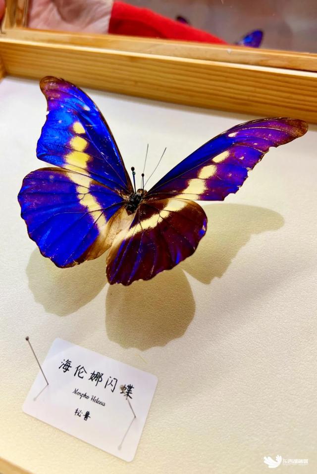 “电子闺蜜们”，这些地儿，必须冲！