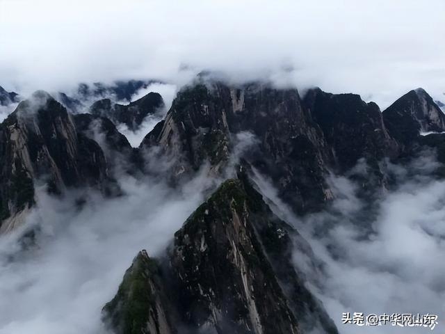 吴为山探华山丨笔墨绘山河，解码“天下第一山”的艺术与精神密码