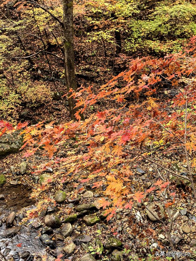 2025辽宁赏秋之旅日记(3)——游览洋湖沟和老边沟