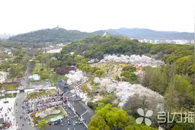 31.3℃！苏州热到破纪录图片