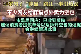 胖猫给女友转50万，自己吃10块外卖！被PUA分手后自尽，全网心疼图片