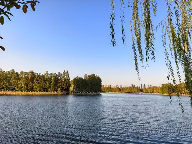 2025年赴武汉疗养记：历史与诗意的邂逅