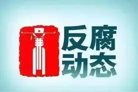 陈晓东、顾俊、莫剑平、赵君怡、符史典被查，周志坚被“双开”图片