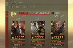 三国志战略版《请不要叫我地奴枪》我叫北伐枪，我强的一批！图片