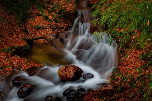 追了光雾山的红叶，这个秋天没白过！
