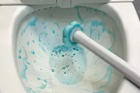 “倒水冲马桶”，看似省水隐患却大！出现这些问题也就不奇怪了图片