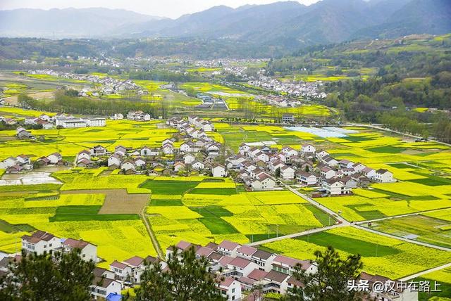 春风十里汉中路：120 公里花海茶园摄影环线