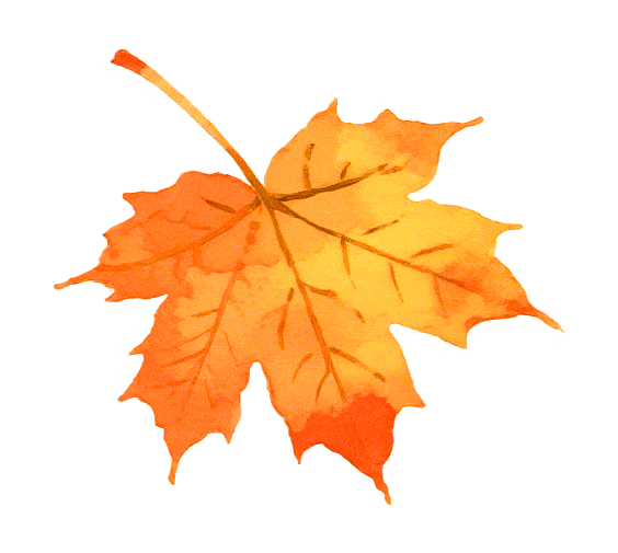 秋冬游秦皇岛“冰雪狂欢·冬韵暖趣”系列活动，滑冰玩雪、温泉看海，这个冬天超好玩！