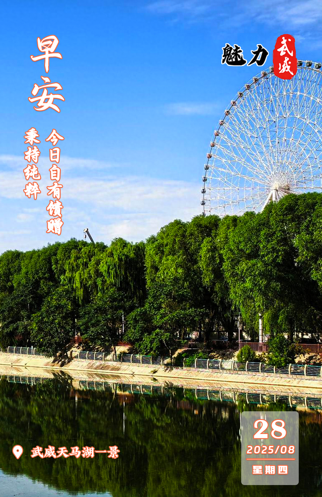 魅力武威丨武威天马湖一景